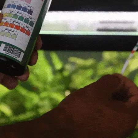 Aquarium Co-Op Multi-Test Strips - Nestor' Aquariums & Pets