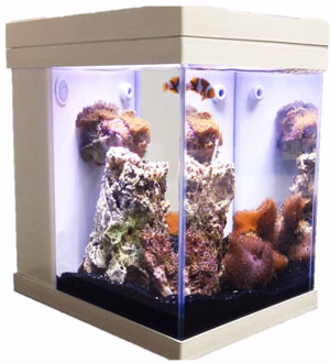 JBJ Aquarium - 3 Gallon Cubey Desktop Aquarium - White - Nestor' Aquariums & Pets