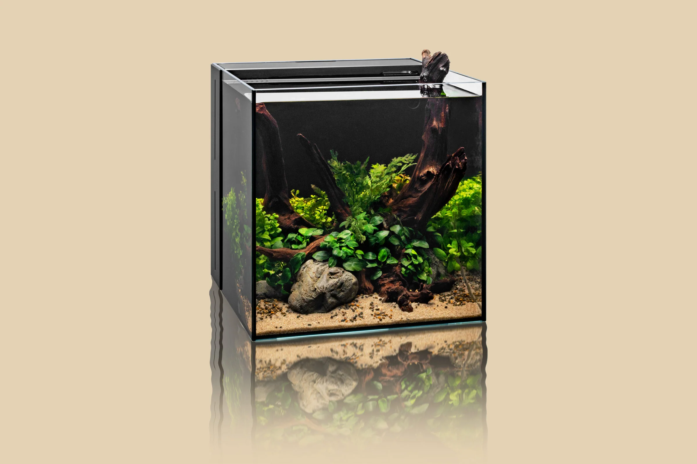 UNS Dual All-In-One Glass Aquarium Tank - Nestor' Aquariums & Pets