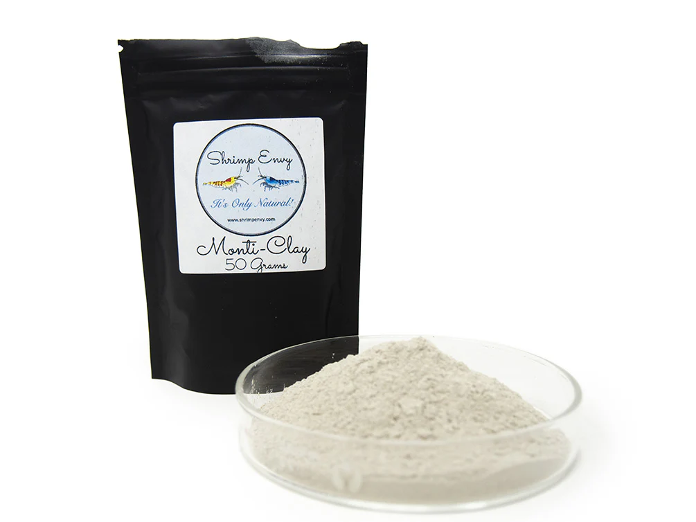 Shrimp Envy - Monti Clay - Nestor' Aquariums & Pets