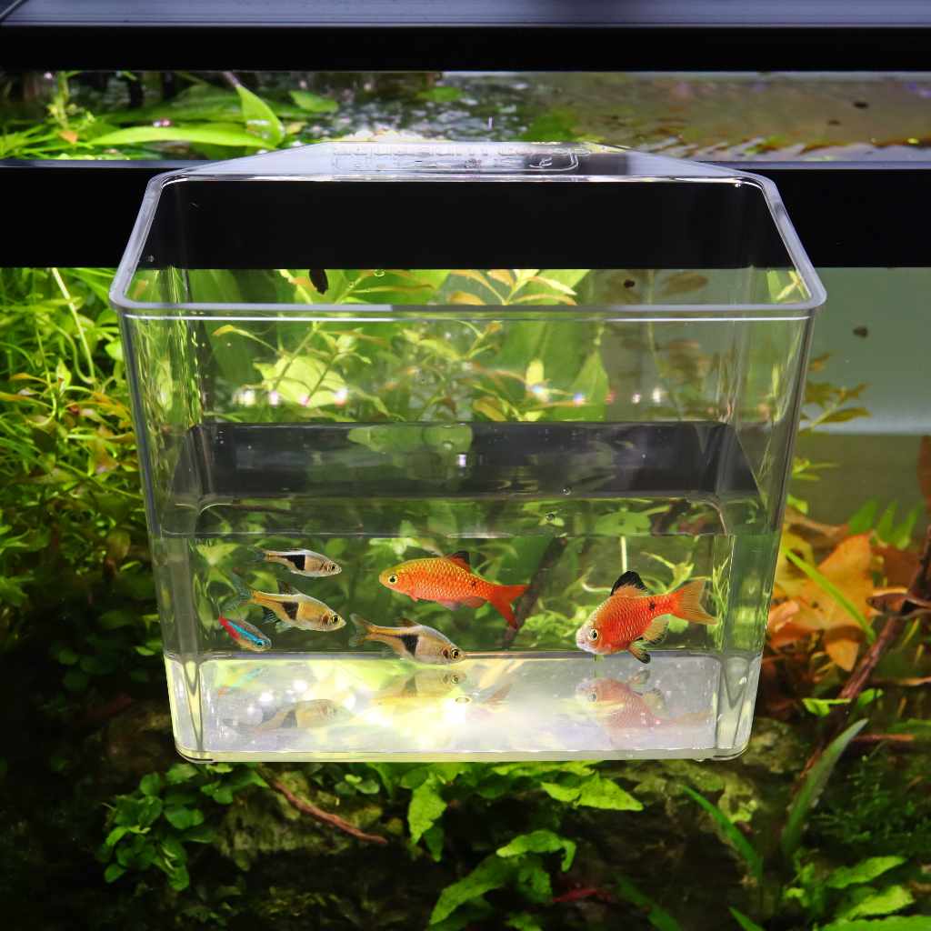 Aquarium Co-Op Unbreakable Catch Cup - Nestor' Aquariums & Pets