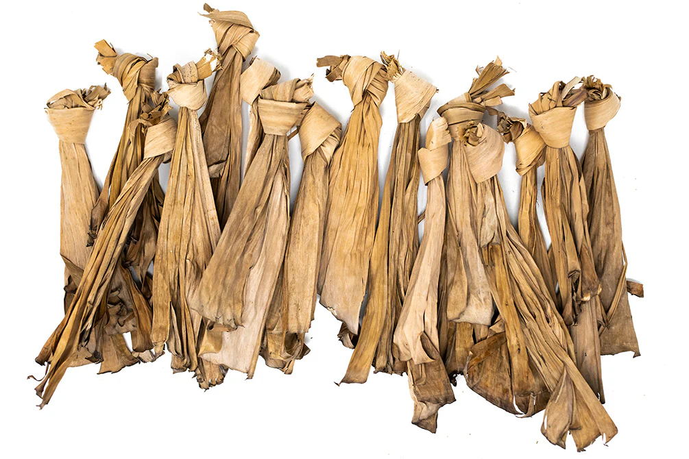 Banana Leaves - Nestor' Aquariums & Pets