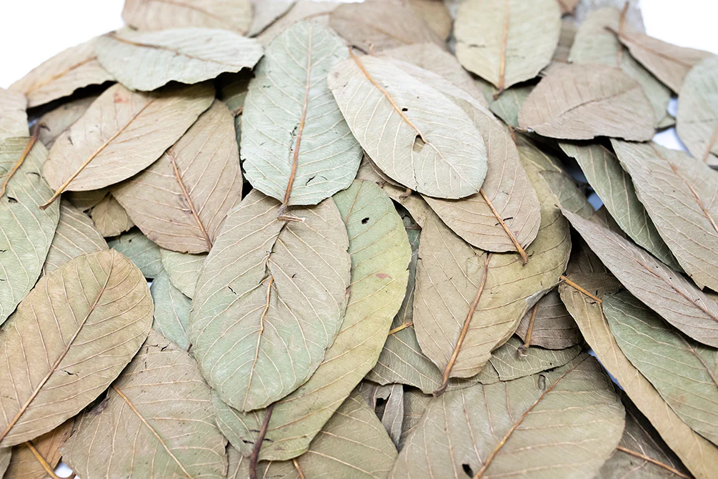 Aquatic Arts Guava Leaves - Nestor' Aquariums & Pets