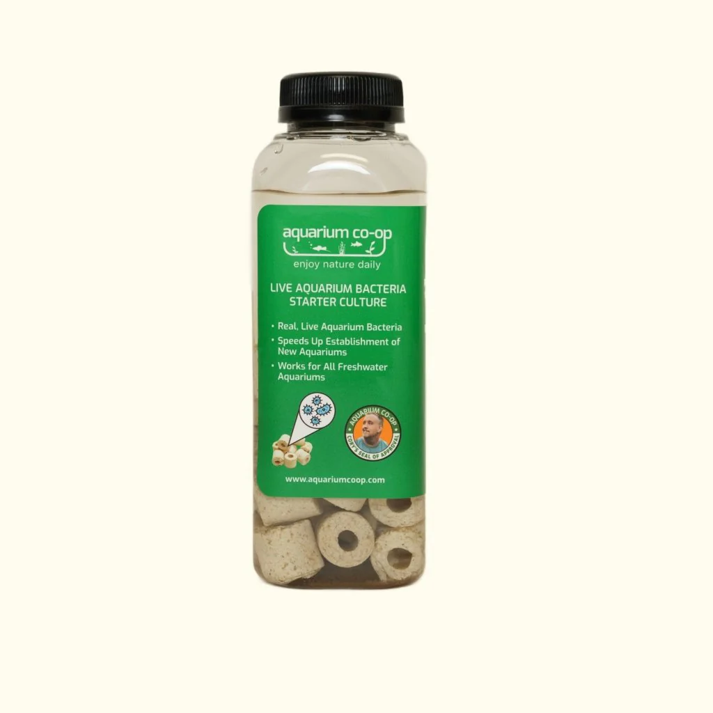 Live Aquarium Bacteria Starter Culture - Nestor' Aquariums & Pets