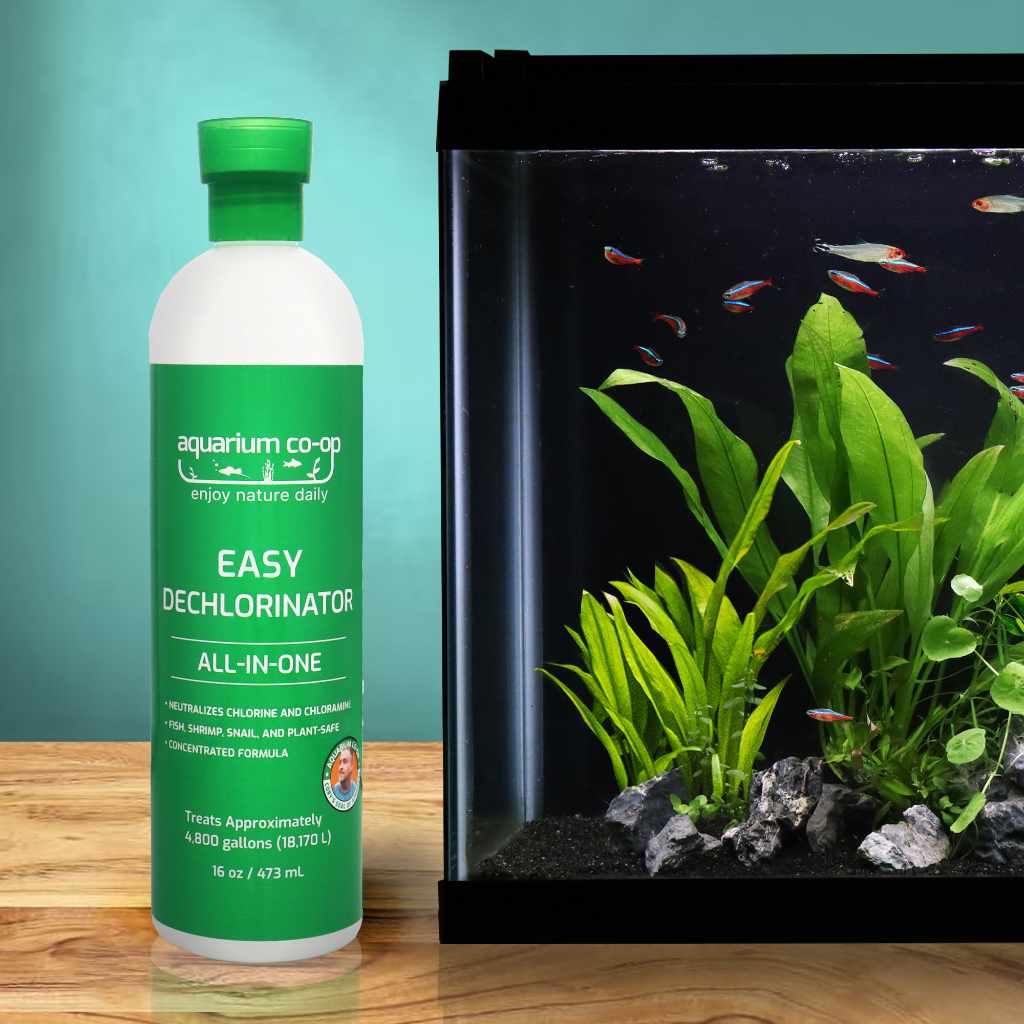 Easy Dechlorinator - Nestor' Aquariums & Pets