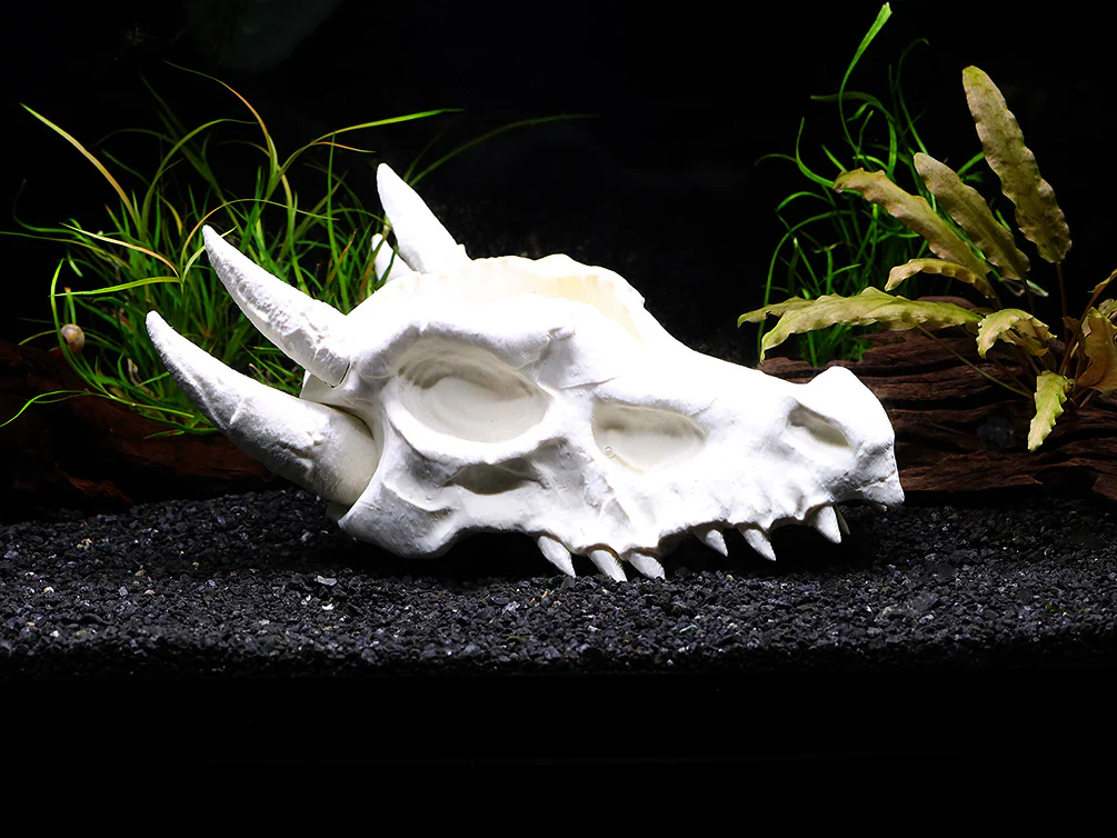 Aquarium Decor & Shrimp Hide Collection – Skull Caves and Sinking Shrimp Ornament - Nestor' Aquariums & Pets