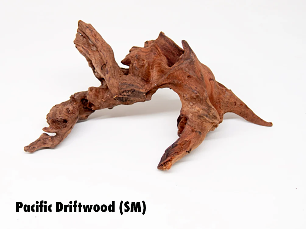 Pacific Driftwood (Dry) - Nestor' Aquariums & Pets