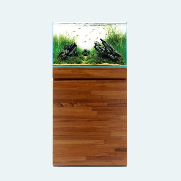 Standard Rimless Glass Aquariums - Nestor' Aquariums & Pets
