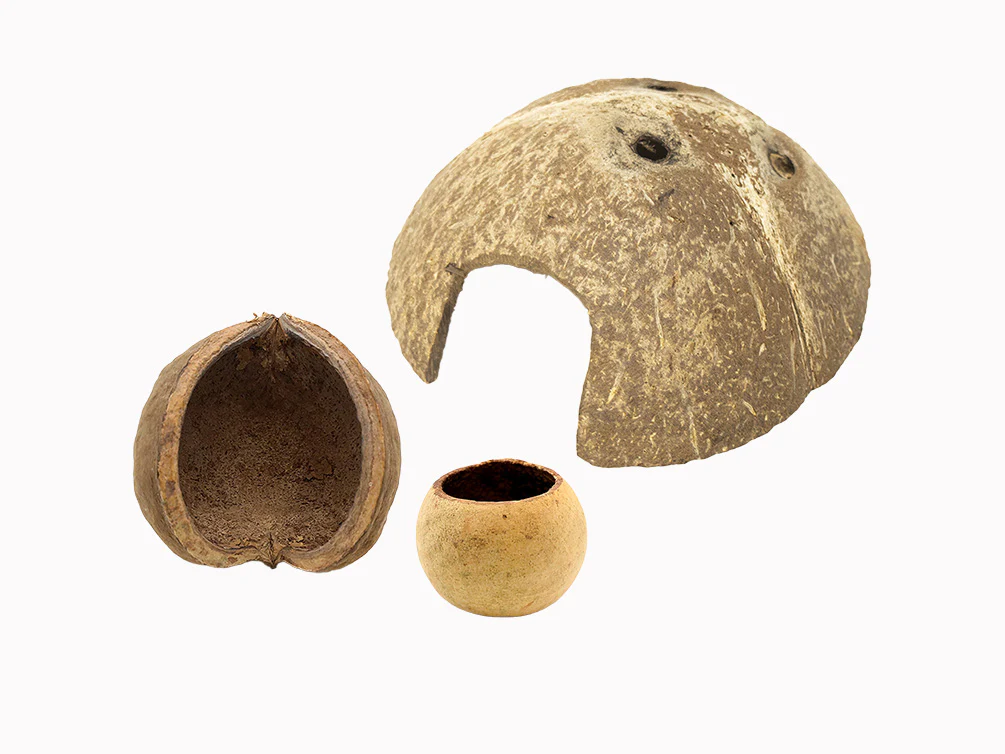 Aquatic Arts Natural Hide Combo Pack — Coconut Hut, Beal & Buddha Pods - Nestor' Aquariums & Pets