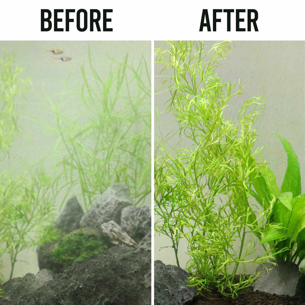 Fritz Crystal Clear 16oz - Nestor' Aquariums & Pets