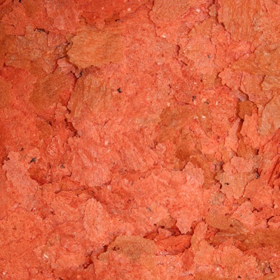Omega One First Flakes Food (Various Sizes) - Nestor' Aquariums & Pets