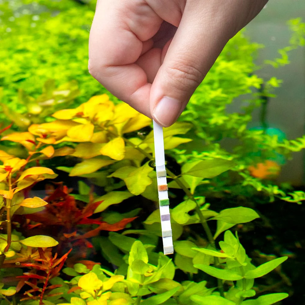 Aquarium Co-Op Multi-Test Strips - Nestor' Aquariums & Pets