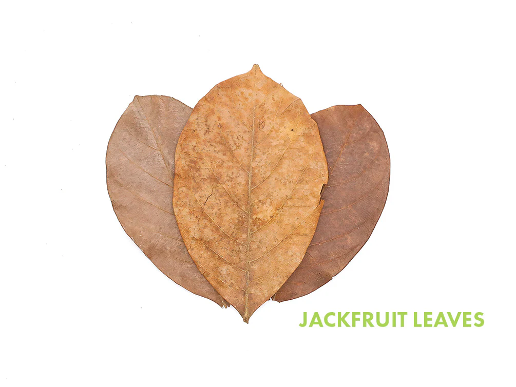 Aquatic Arts Mixed Fruit Leaf Botanical Pack (Mango, Guava, Banana & Jackfruit) - Dried Botanicals - Nestor' Aquariums & Pets