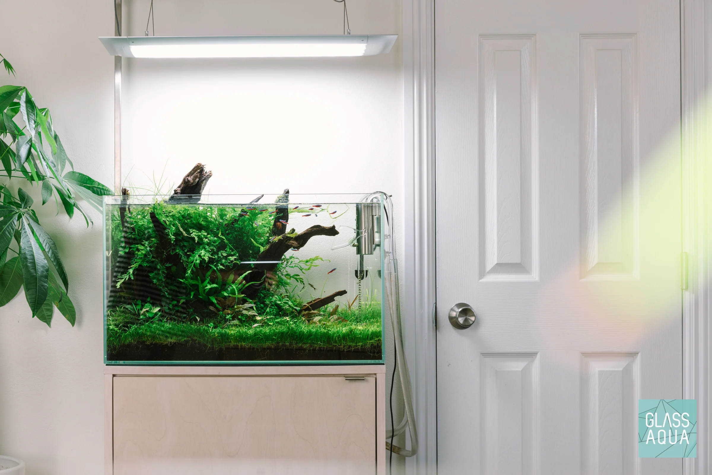 UNS Rimless Standard Glass Aquarium Tank - Nestor' Aquariums & Pets