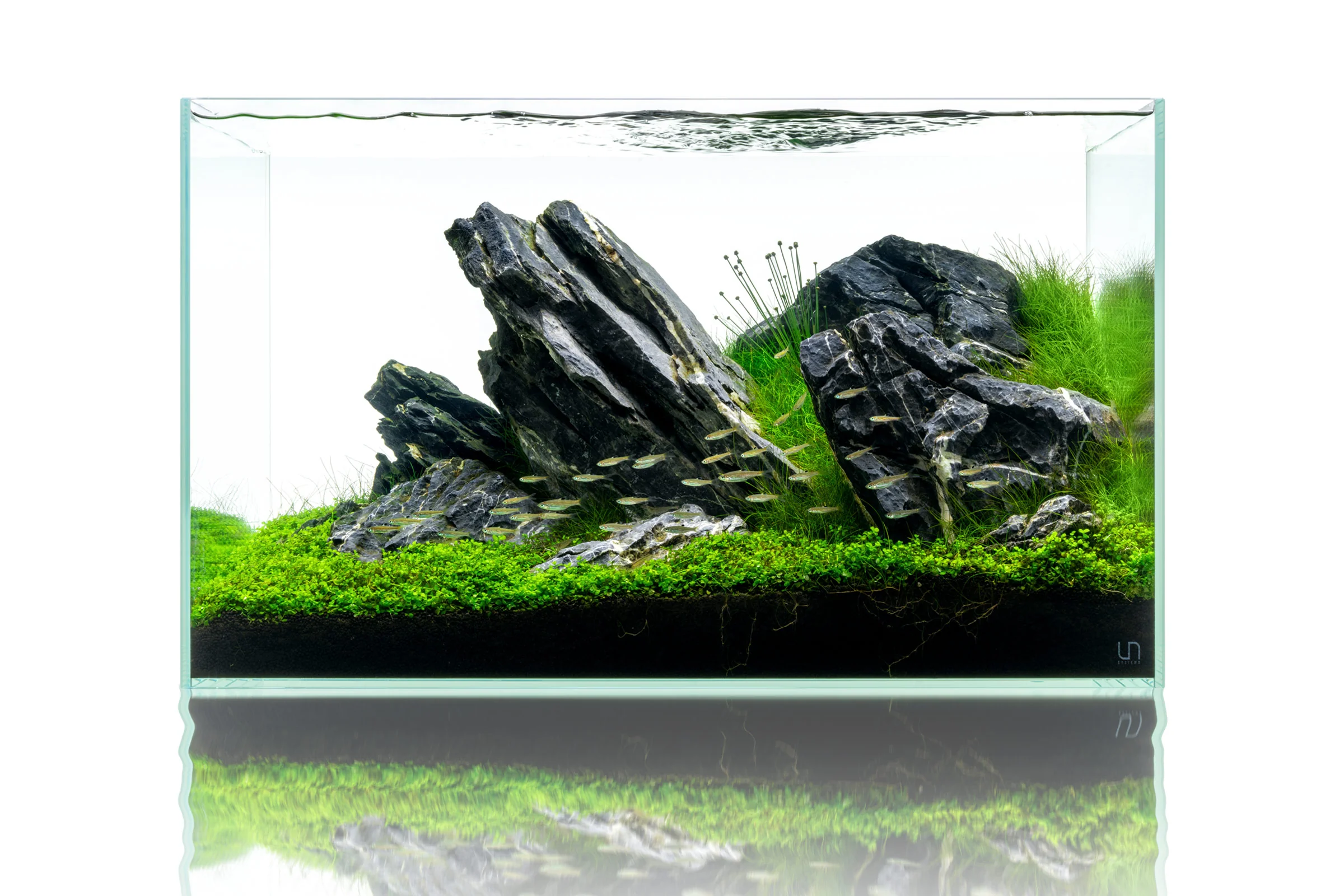 UNS Rimless Standard Glass Aquarium Tank - Nestor' Aquariums & Pets