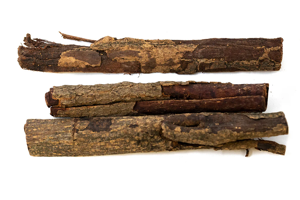 Catappa Bark - Nestor' Aquariums & Pets