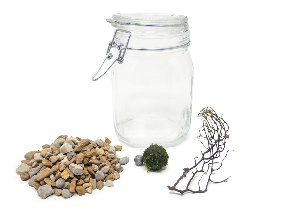 Aquatic Arts Desktop Terrarium - Nestor' Aquariums & Pets