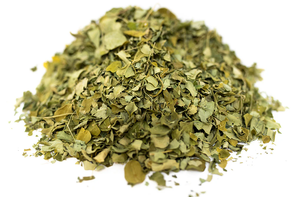 Moringa Leaves - Nestor' Aquariums & Pets