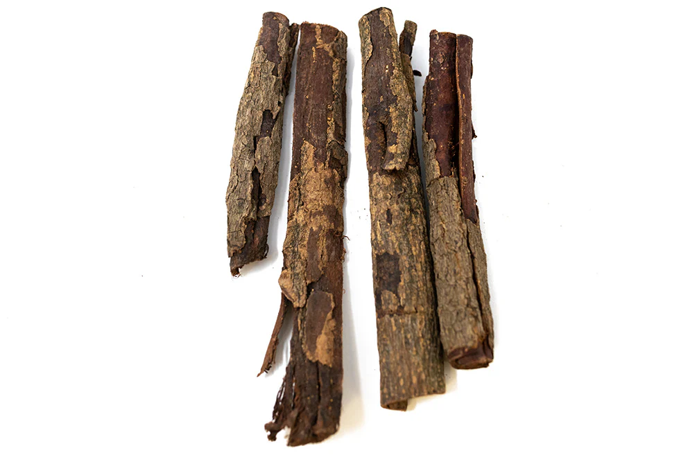 Catappa Bark - Nestor' Aquariums & Pets