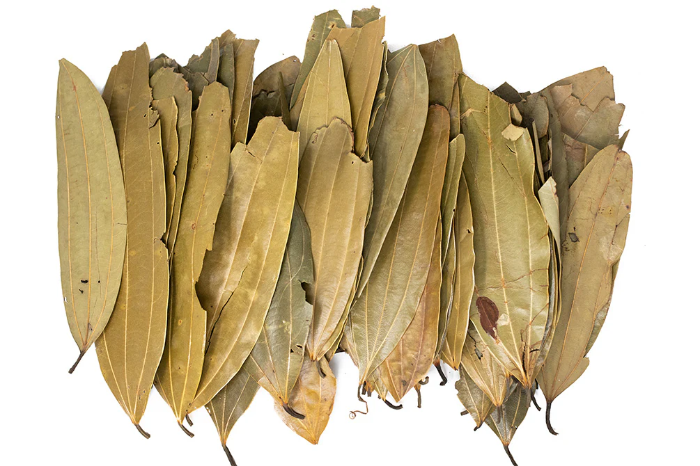 Cinnamon Leaves - Nestor' Aquariums & Pets