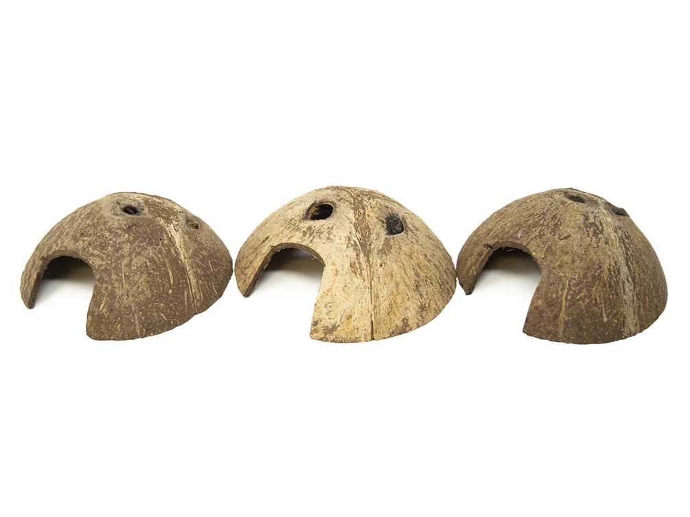 Coconut Shell Cave Hut - Nestor' Aquariums & Pets