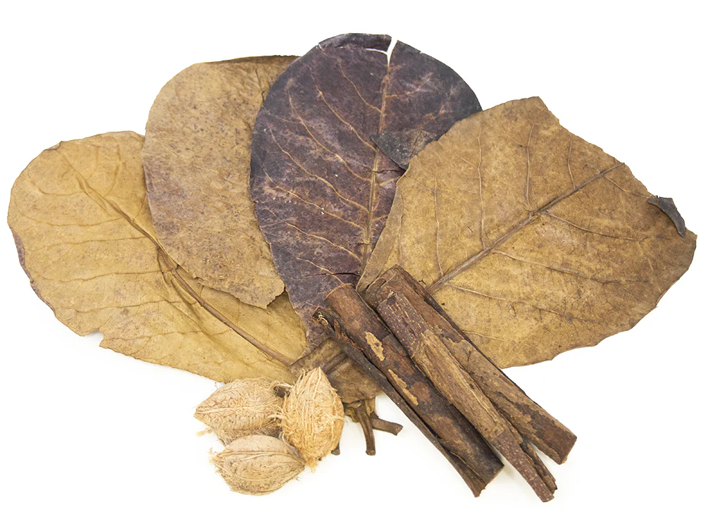 Catappa Tree Botanical Combo Pack - Nestor' Aquariums & Pets