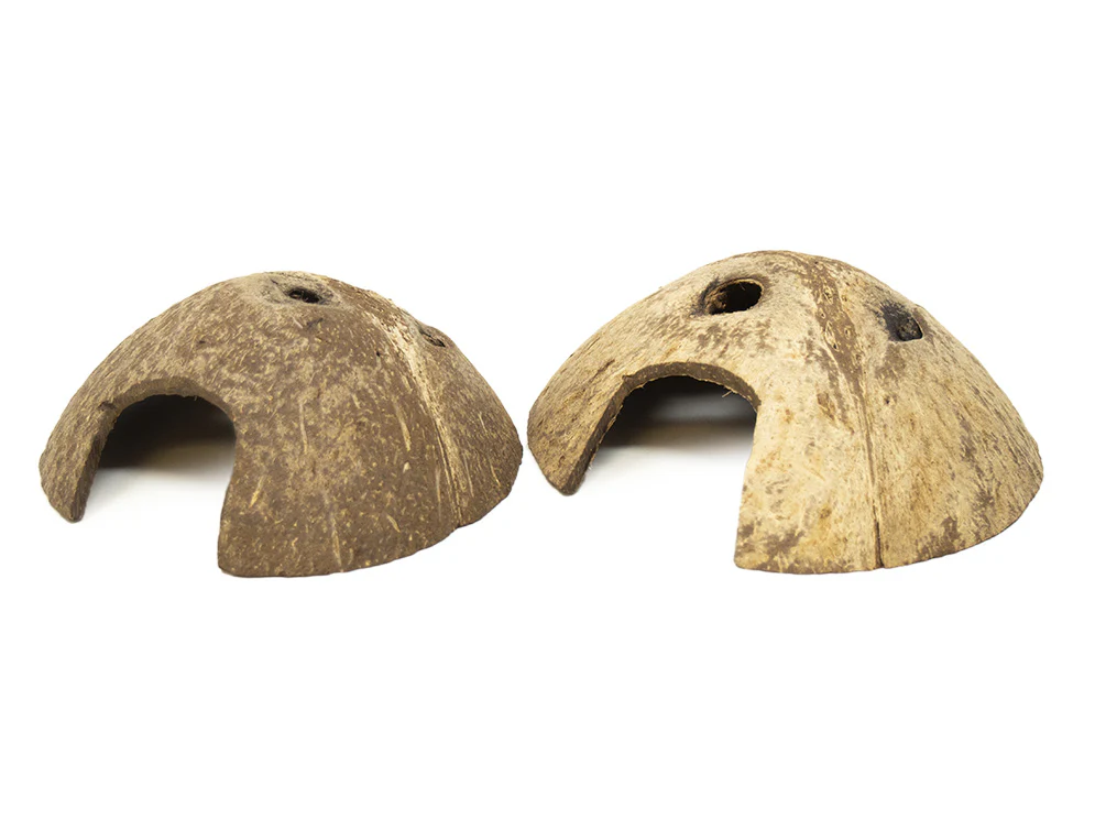 Coconut Shell Cave Hut - Nestor' Aquariums & Pets