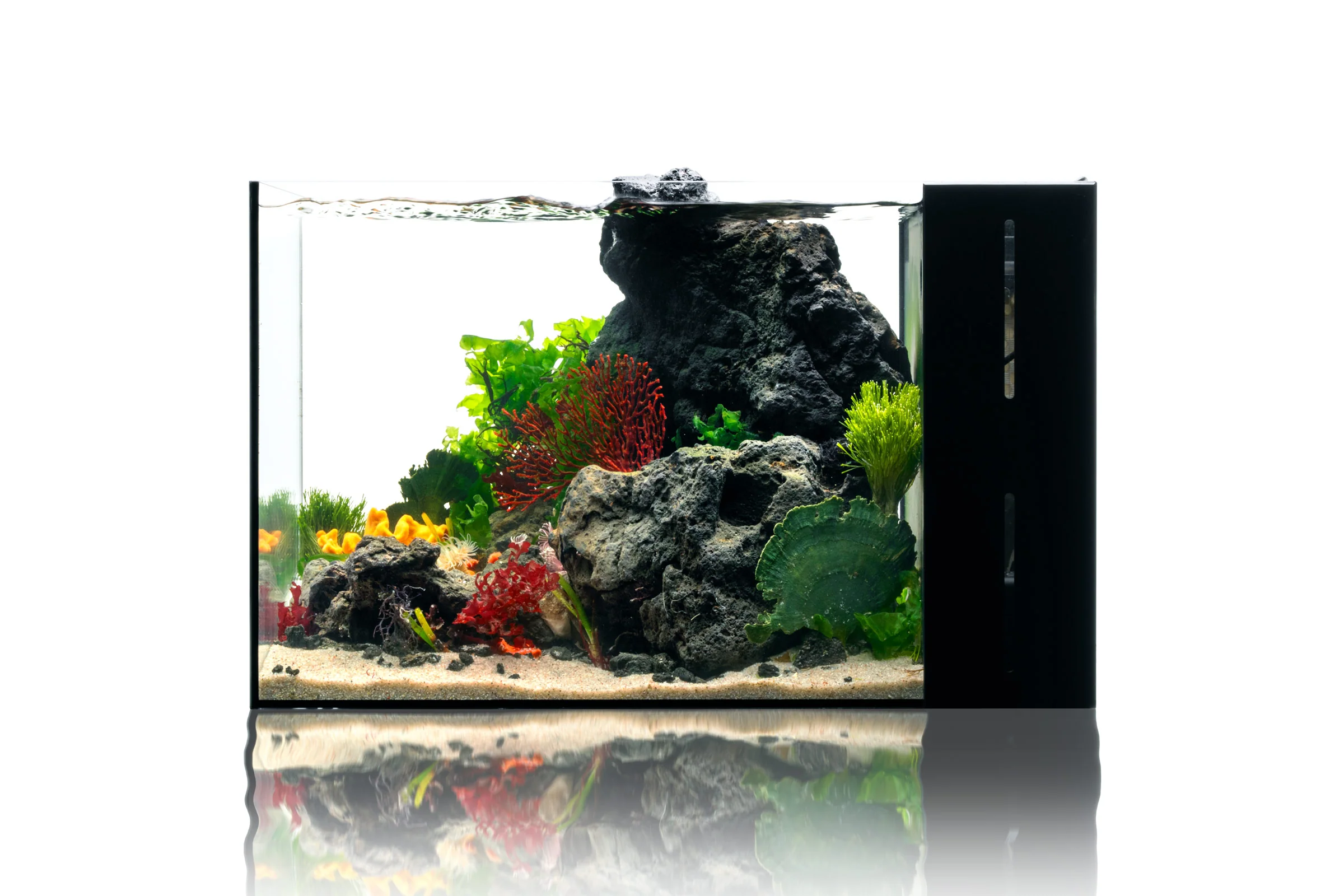 UNS Dual All-In-One Glass Aquarium Tank - Nestor' Aquariums & Pets