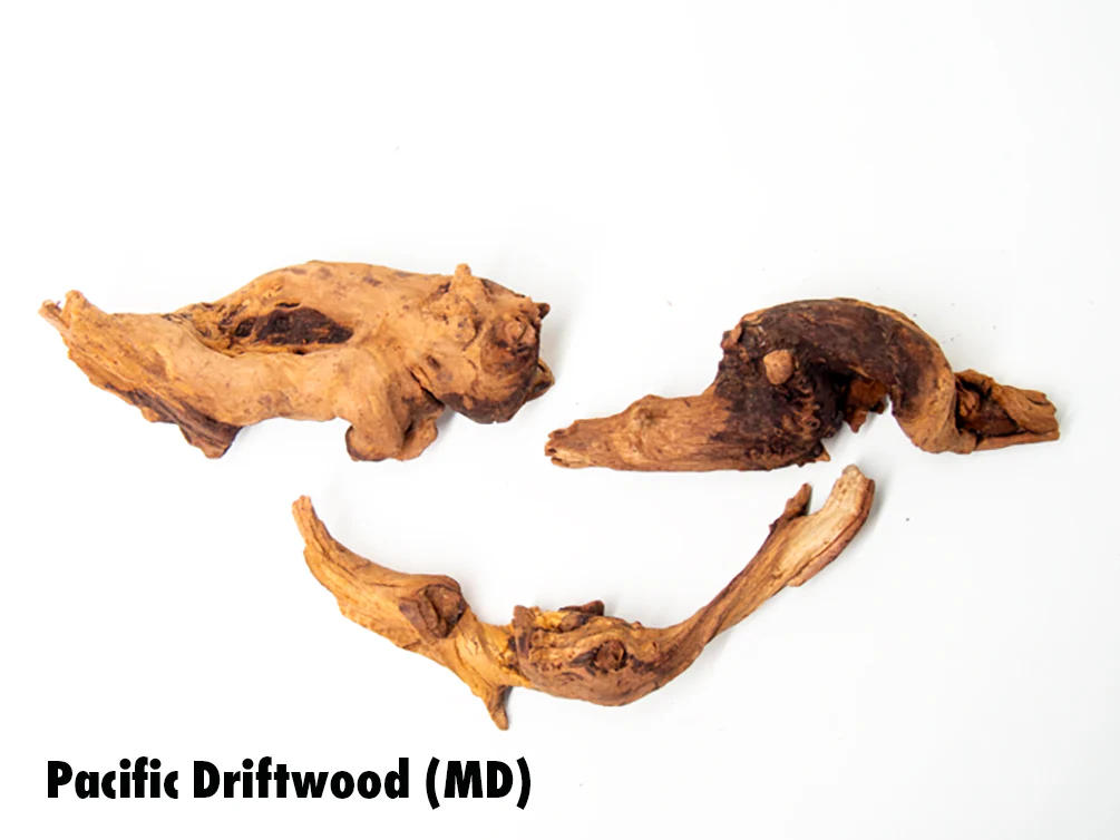 Pacific Driftwood (Dry) - Nestor' Aquariums & Pets