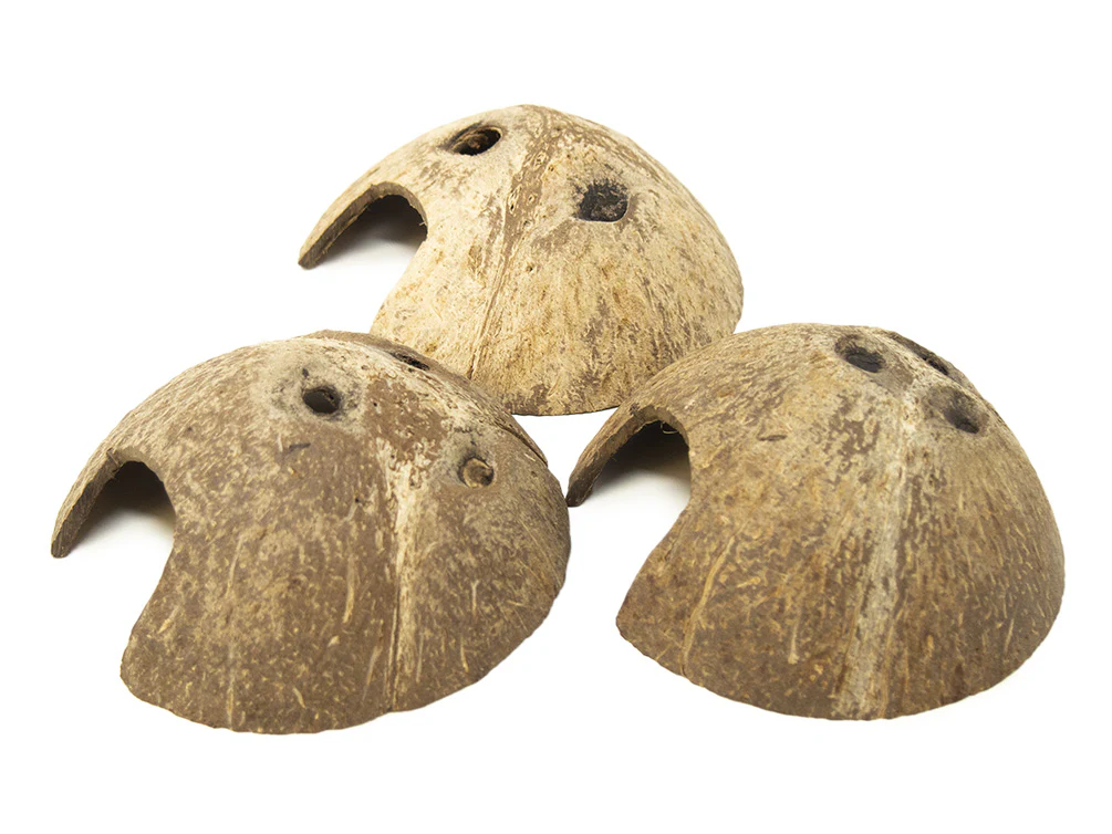 Coconut Shell Cave Hut - Nestor' Aquariums & Pets