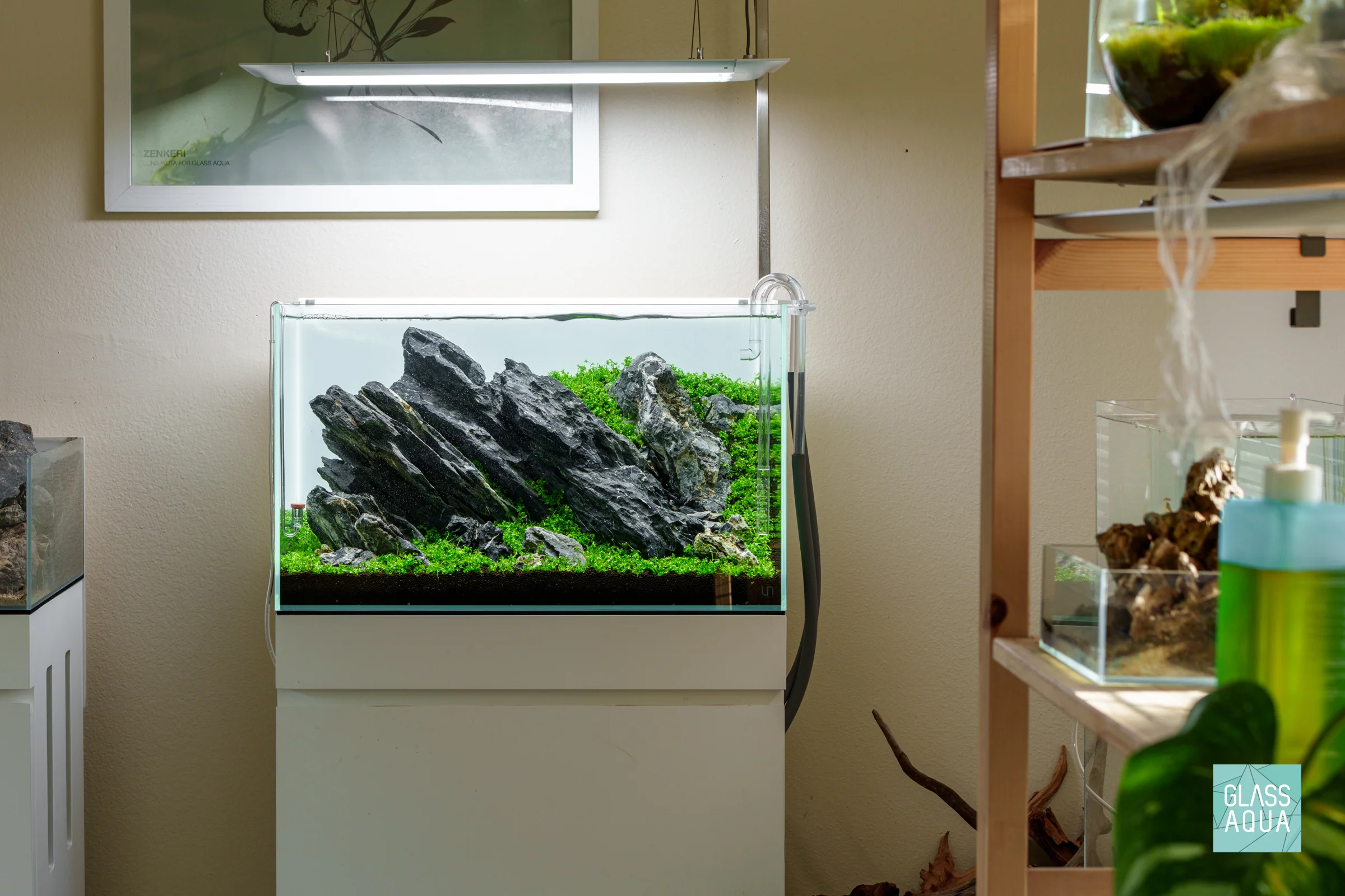 UNS Rimless Standard Glass Aquarium Tank - Nestor' Aquariums & Pets