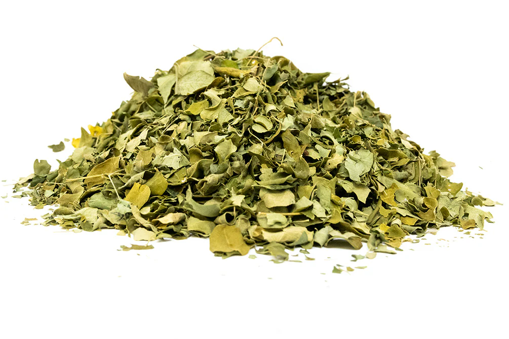 Moringa Leaves - Nestor' Aquariums & Pets