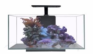 JBJ Aquarium - Desktop 10 Gallon Flat Panel with Lyra 10 Watt LED - Nestor' Aquariums & Pets