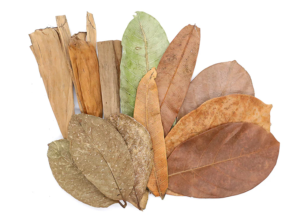 Aquatic Arts Mixed Fruit Leaf Botanical Pack (Mango, Guava, Banana & Jackfruit) - Dried Botanicals - Nestor' Aquariums & Pets
