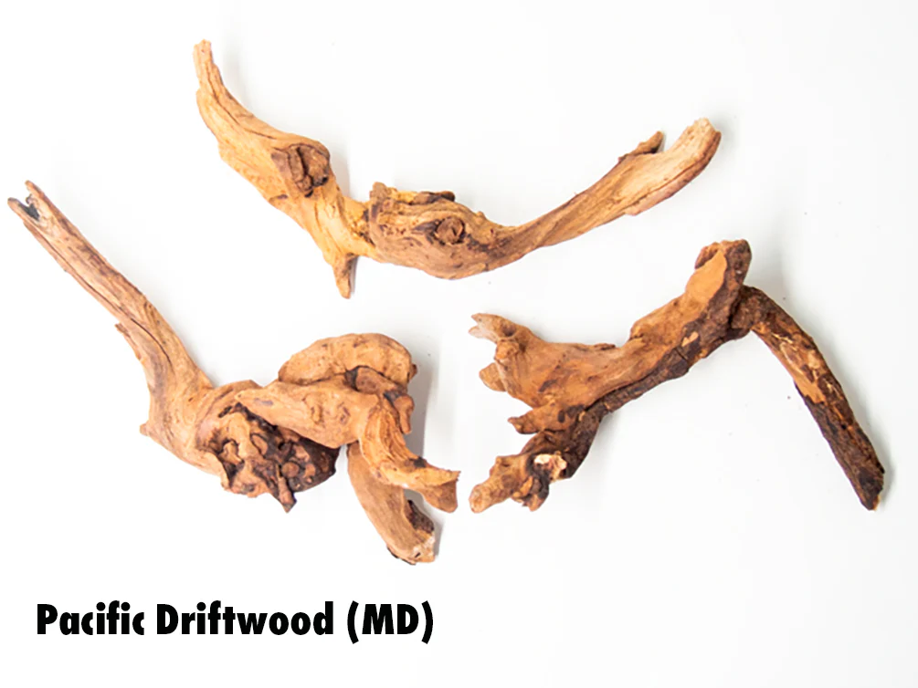 Pacific Driftwood (Dry) - Nestor' Aquariums & Pets