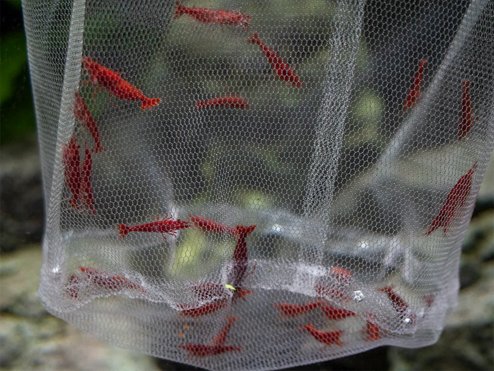 Deluxe Handmade In-Tank Breeder Net - Nestor' Aquariums & Pets