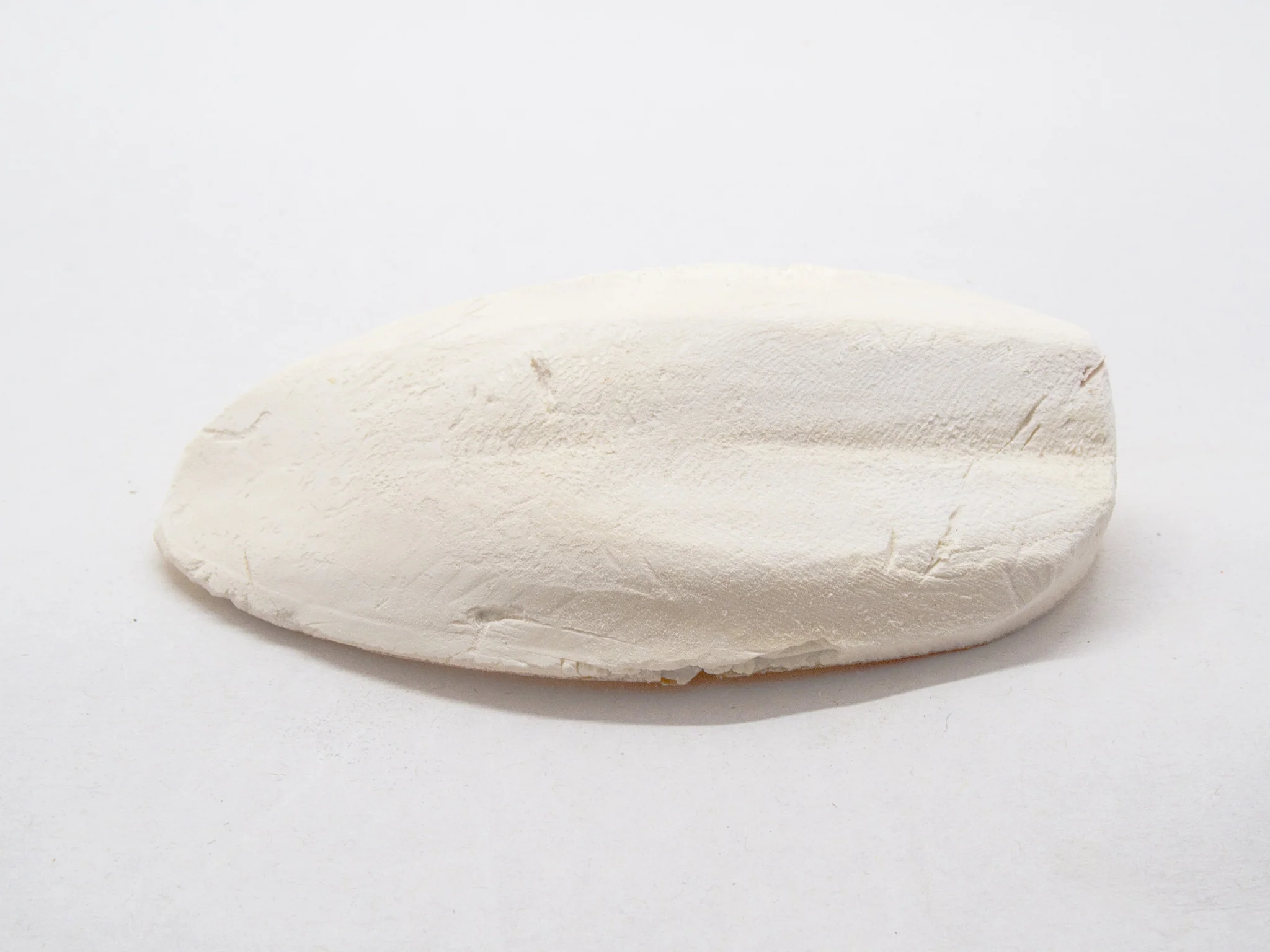 Cuttlebone (Natural Mineral Supplement) - Nestor' Aquariums & Pets