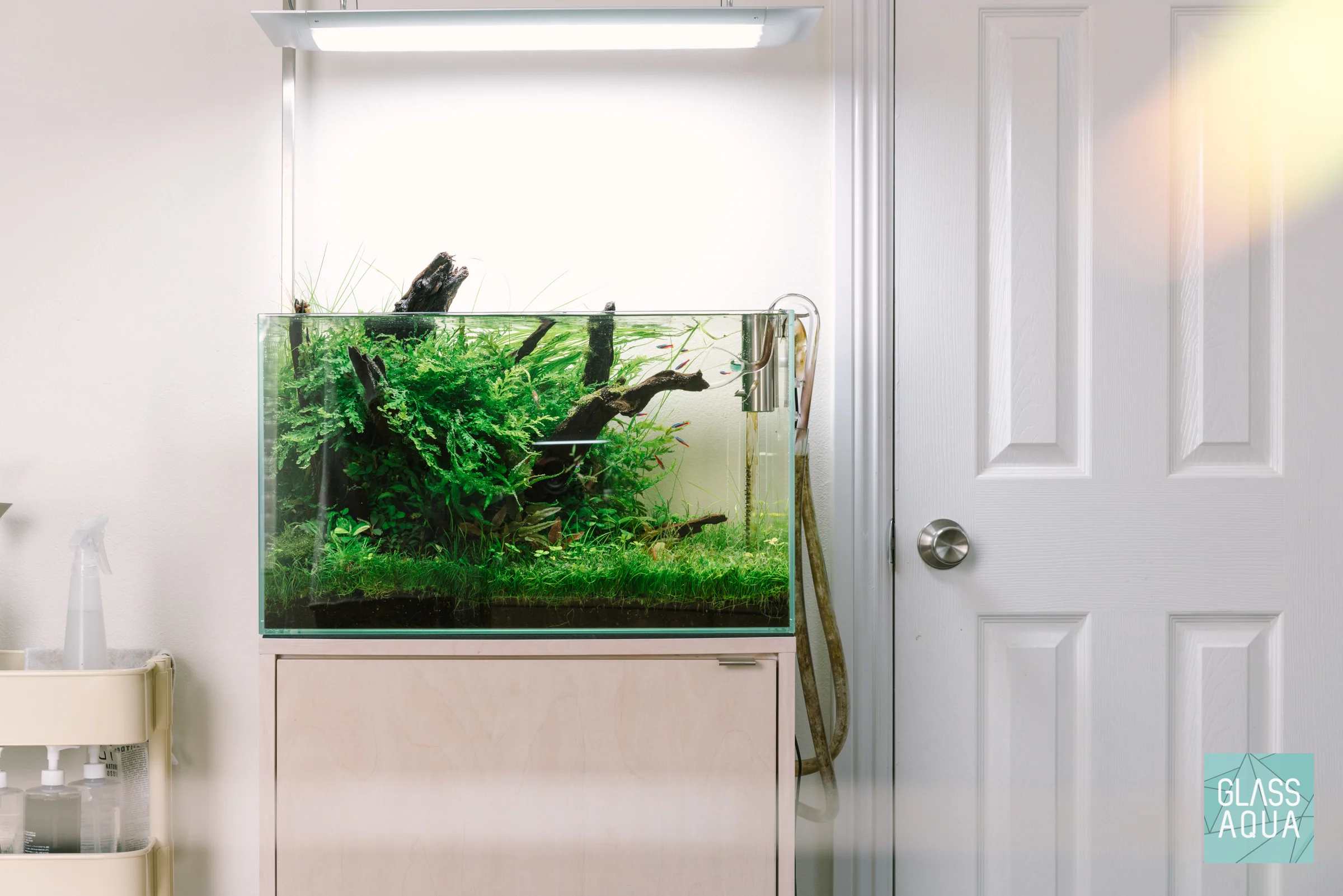 Build Your Own Aquarium Kit - Standard Tank - Nestor' Aquariums & Pets