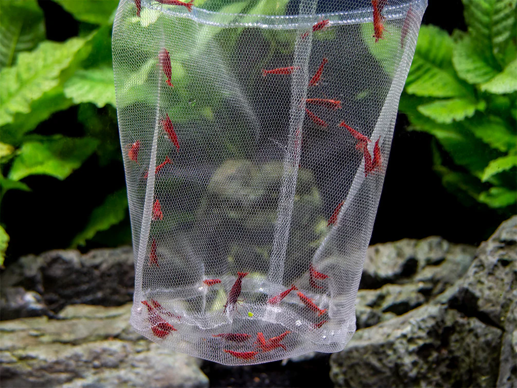 Deluxe Handmade In-Tank Breeder Net - Nestor' Aquariums & Pets