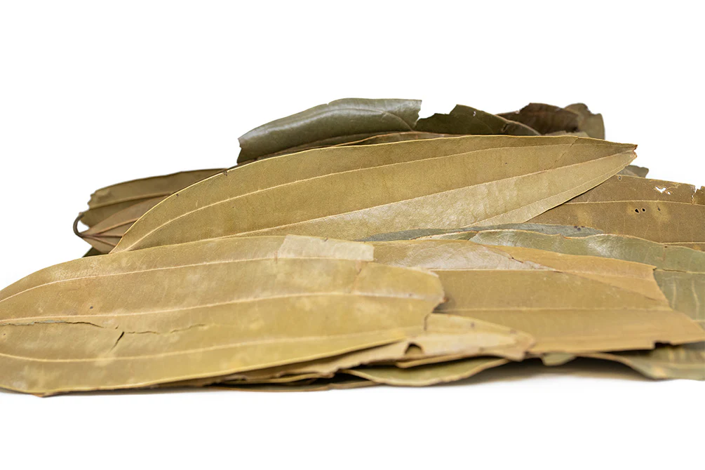 Cinnamon Leaves - Nestor' Aquariums & Pets