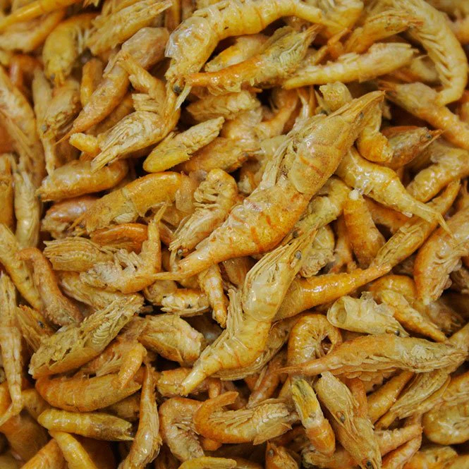Omega One Freeze Dried Shrimp (Various Sizes) - Nestor' Aquariums & Pets
