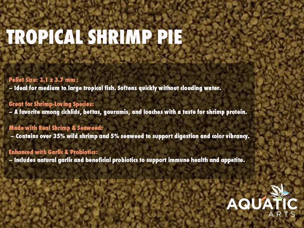 Ultra Fresh Tropical Shrimp Pie - Shrimp Delight - Nestor' Aquariums & Pets