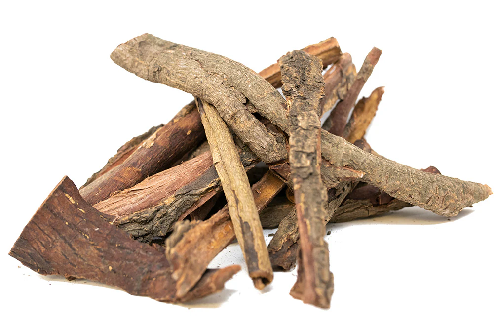 Catappa Bark - Nestor' Aquariums & Pets