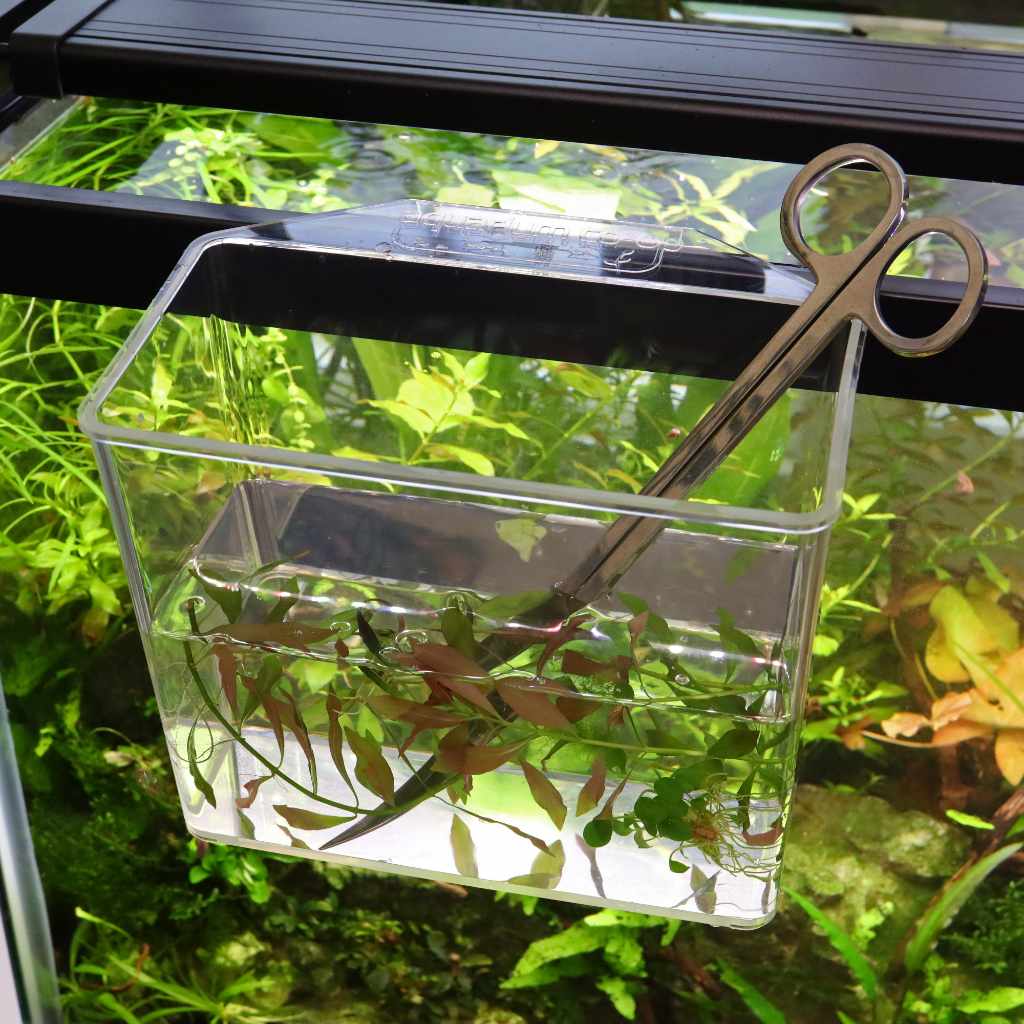 Aquarium Co-Op Unbreakable Catch Cup - Nestor' Aquariums & Pets