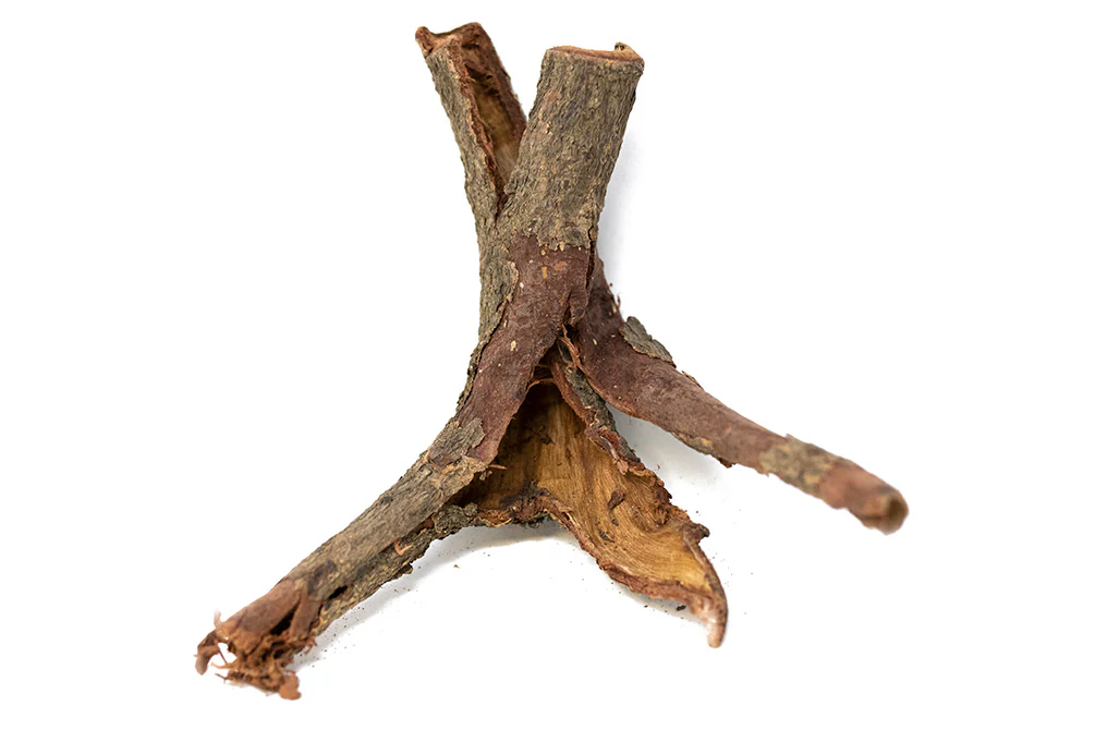Catappa Bark - Nestor' Aquariums & Pets