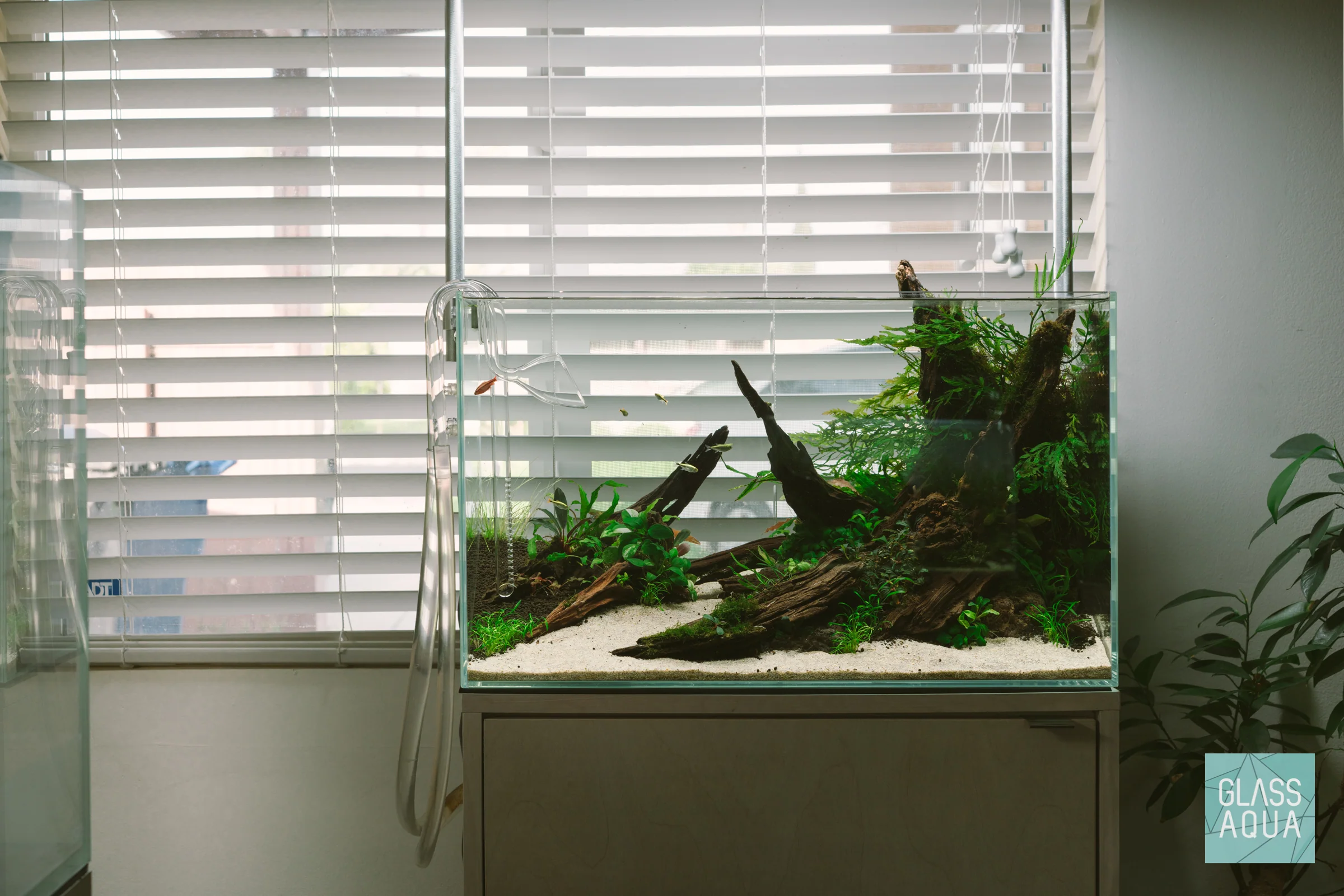 Build Your Own Aquarium Kit - Standard Tank - Nestor' Aquariums & Pets